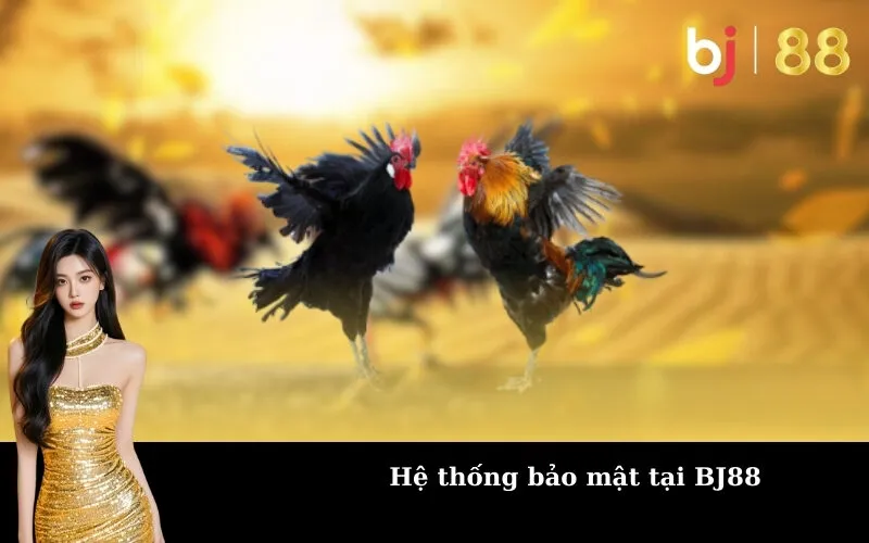 Hệ thống bảo mật tại BJ88